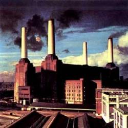 image album, Animals