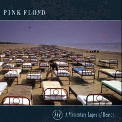 image album, A Momentary Lapse of Reason