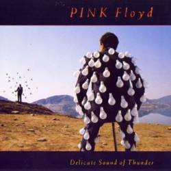 image live, Delicate Sound of Thunder