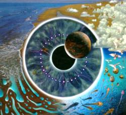 image live, Pulse